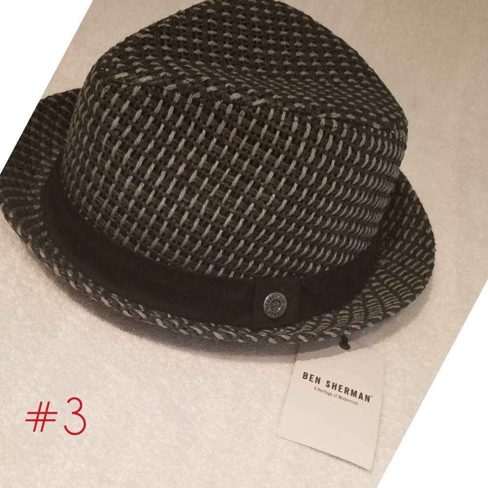 hats - Picture 4 of 8